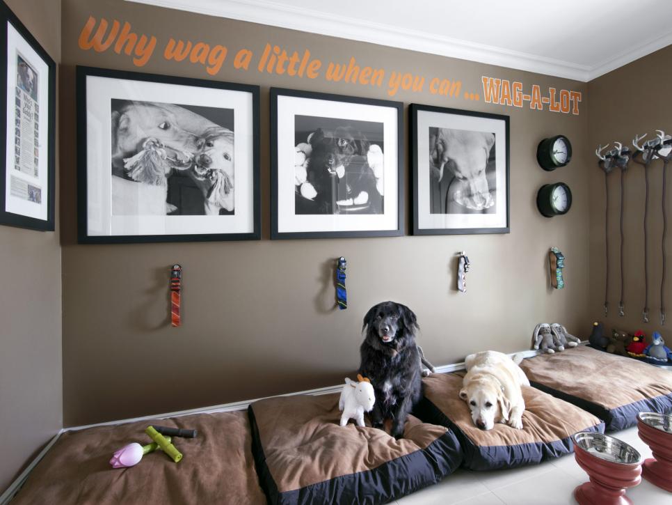rx-hgmag001_verns-dogs-036-b-4x3-jpg-rend-hgtvcom-966-725